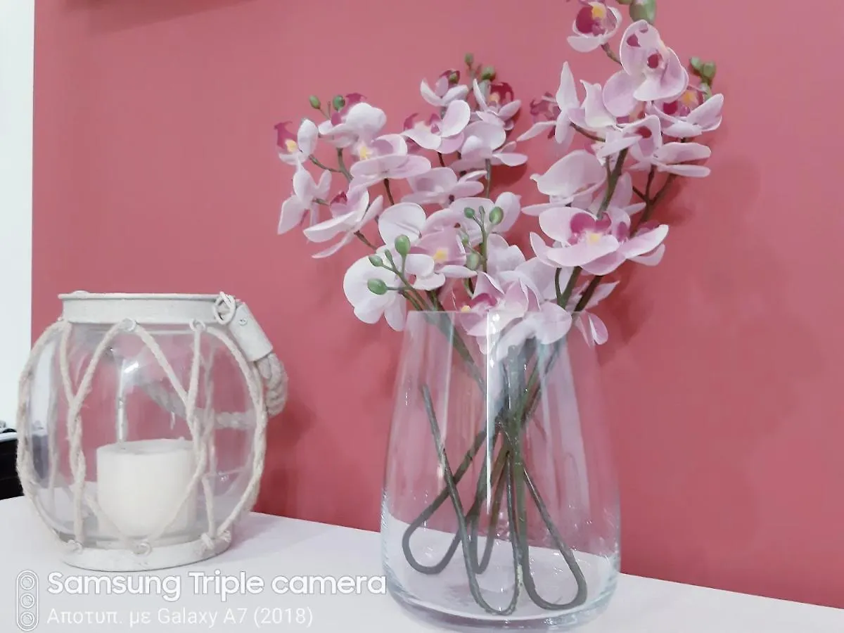 Cosy And Central Stoudio Apartment Thessaloniki
